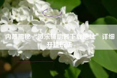 内幕揭秘“微乐辅助器下载地址”详细开挂玩法 内幕揭秘“微乐辅助器下载地址”详细开挂玩法