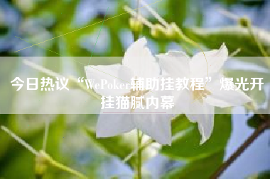 今日热议“WePoker辅助挂教程”爆光开挂猫腻内幕 今日热议“WePoker辅助挂教程”爆光开挂猫腻内幕