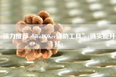 强力推荐“WePOKer辅助工具”(确实能开挂) 强力推荐“WePOKer辅助工具”(确实能开挂)
