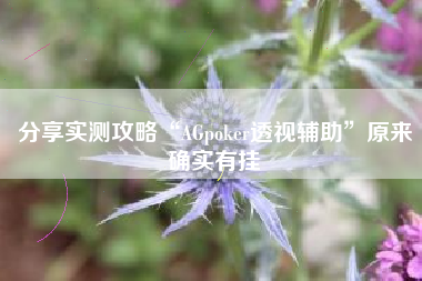 分享实测攻略“AGpoker透视辅助”原来确实有挂
