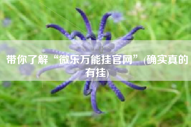 带你了解“微乐万能挂官网”(确实真的有挂) 带你了解“微乐万能挂官网”(确实真的有挂)