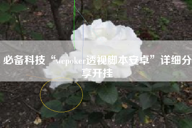 必备科技“wepoker透视脚本安卓”详细分享开挂 必备科技“wepoker透视脚本安卓”详细分享开挂