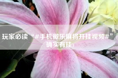 玩家必读“#手机微乐麻将开挂视频#”(确实有挂)