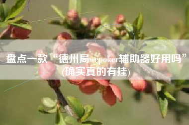 盘点一款“德州局wepoker辅助器好用吗”(确实真的有挂)