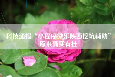 科技通报“小程序微乐陕西挖坑辅助”原来确实有挂