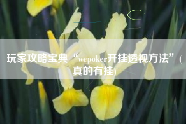 玩家攻略宝典“wepoker开挂透视方法”(真的有挂)