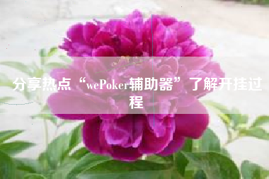 分享热点“wePoker辅助器”了解开挂过程 分享热点“wePoker辅助器”了解开挂过程