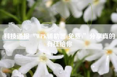 科技通报“WPK辅助器(免费)”分享真的有挂给你