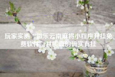 玩家实测“微乐云南麻将小程序开挂免费软件”其实真的确实有挂