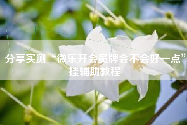 分享实测“微乐开会员牌会不会好一点”挂辅助教程 分享实测“微乐开会员牌会不会好一点”挂辅助教程