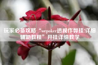 玩家必备攻略“wepoker透视作弊挂!详细辅助教程”开挂详细教学