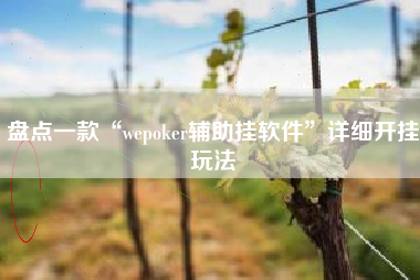 盘点一款“wepoker辅助挂软件”详细开挂玩法 盘点一款“wepoker辅助挂软件”详细开挂玩法