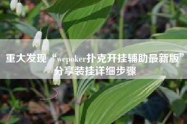 重大发现“wepoker扑克开挂辅助最新版”分享装挂详细步骤