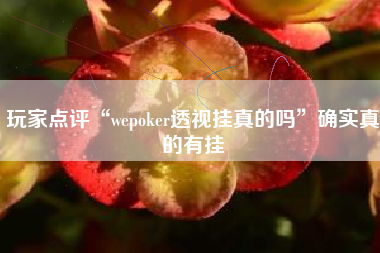 玩家点评“wepoker透视挂真的吗”确实真的有挂