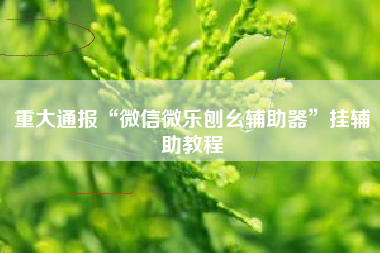 重大通报“微信微乐刨幺辅助器”挂辅助教程 重大通报“微信微乐刨幺辅助器”挂辅助教程