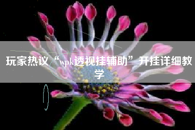 玩家热议“wpk透视挂辅助”开挂详细教学