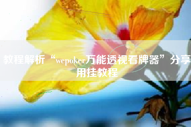 教程解析“wepoker万能透视看牌器”分享用挂教程 教程解析“wepoker万能透视看牌器”分享用挂教程
