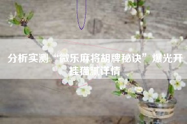 分析实测“微乐麻将胡牌秘诀”爆光开挂猫腻详情