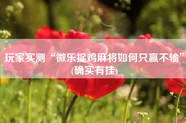 玩家实测“微乐捉鸡麻将如何只赢不输”(确实有挂)