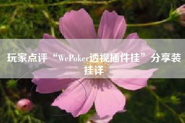 玩家点评“WePoker透视插件挂”分享装挂详
