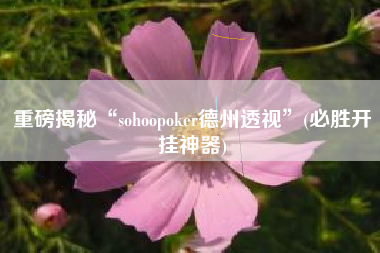 重磅揭秘“sohoopoker德州透视”(必胜开挂神器)