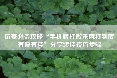 玩家必备攻略“手机版打微乐麻将到底有没有挂”分享装挂技巧步骤