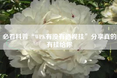 必看科普“WPK有没有透视挂”分享真的有挂给你
