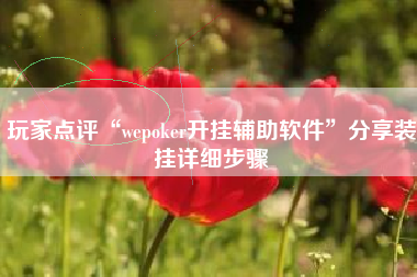 玩家点评“wepoker开挂辅助软件”分享装挂详细步骤