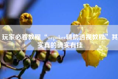 玩家必看教程“wepoker辅助透视教程”其实真的确实有挂