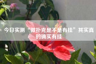 今日实测“微扑克是不是有挂”其实真的确实有挂