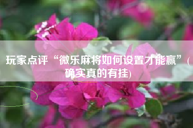 玩家点评“微乐麻将如何设置才能赢”(确实真的有挂)