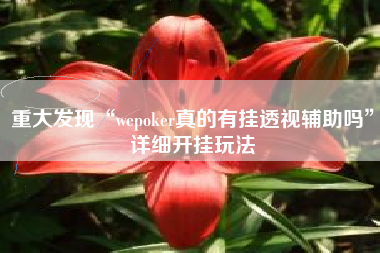 重大发现“wepoker真的有挂透视辅助吗”详细开挂玩法
