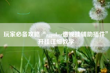 玩家必备攻略“agpoker透视挂辅助插件”开挂详细教学