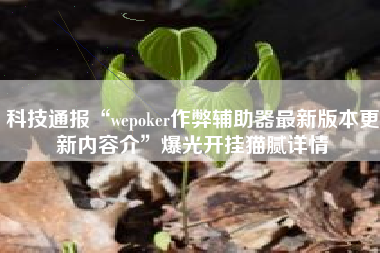 科技通报“wepoker作弊辅助器最新版本更新内容介”爆光开挂猫腻详情