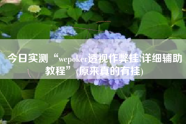 今日实测“wepoker透视作弊挂!详细辅助教程”(原来真的有挂)