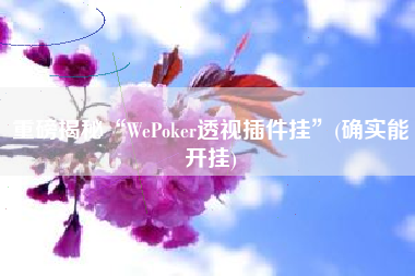 重磅揭秘“WePoker透视插件挂”(确实能开挂)