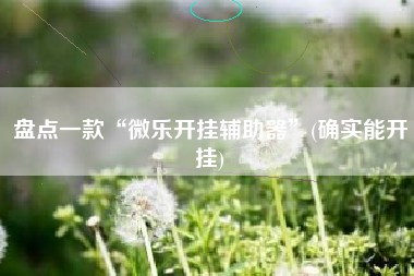 盘点一款“微乐开挂辅助器”(确实能开挂) 盘点一款“微乐开挂辅助器”(确实能开挂)