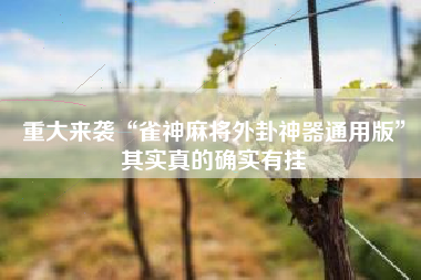 重大来袭“雀神麻将外卦神器通用版”其实真的确实有挂