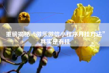 重磅揭秘“微乐微信小程序开挂方法”其实是有挂 重磅揭秘“微乐微信小程序开挂方法”其实是有挂