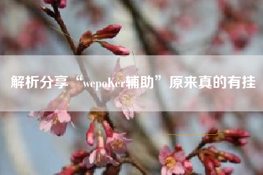解析分享“wepoKer辅助”原来真的有挂 解析分享“wepoKer辅助”原来真的有挂