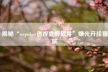 揭秘“wepoker透视底牌软件”爆光开挂猫腻 揭秘“wepoker透视底牌软件”爆光开挂猫腻
