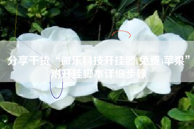 分享干货“微乐科技开挂器(免费)苹果”附开挂脚本详细步骤