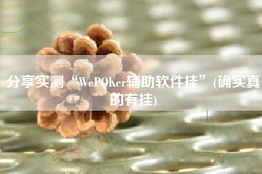 分享实测“WePOKer辅助软件挂”(确实真的有挂)