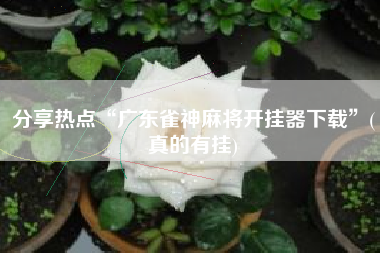 分享热点“广东雀神麻将开挂器下载”(真的有挂)