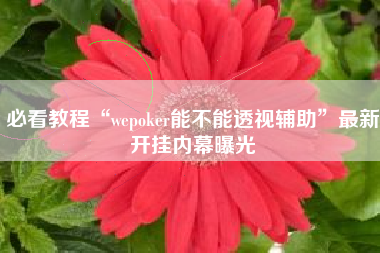 必看教程“wepoker能不能透视辅助”最新开挂内幕曝光 必看教程“wepoker能不能透视辅助”最新开挂内幕曝光