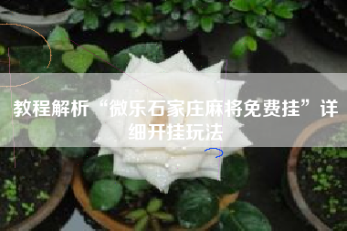 教程解析“微乐石家庄麻将免费挂”详细开挂玩法 教程解析“微乐石家庄麻将免费挂”详细开挂玩法