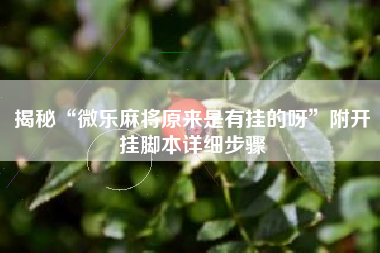 揭秘“微乐麻将原来是有挂的呀”附开挂脚本详细步骤 揭秘“微乐麻将原来是有挂的呀”附开挂脚本详细步骤