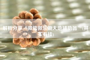 解析分享“微信微乐锄大地辅助器”(其实有挂) 解析分享“微信微乐锄大地辅助器”(其实有挂)