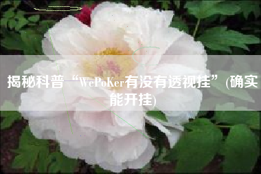 揭秘科普“WePoKer有没有透视挂”(确实能开挂) 揭秘科普“WePoKer有没有透视挂”(确实能开挂)