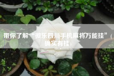 带你了解“微乐四川手机麻将万能挂”(确实有挂) 带你了解“微乐四川手机麻将万能挂”(确实有挂)